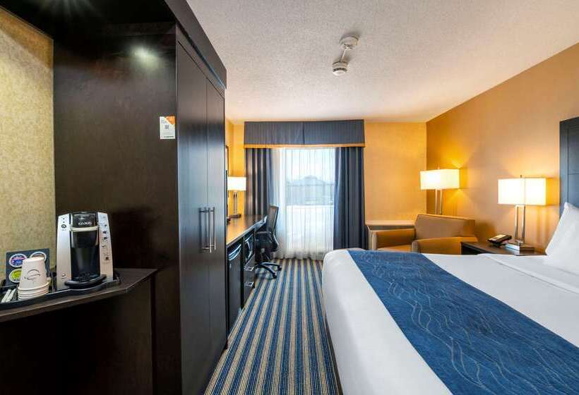 فندق Comfort Inn