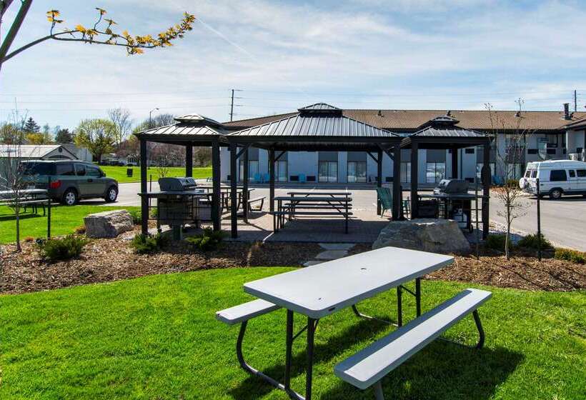 فندق Comfort Inn