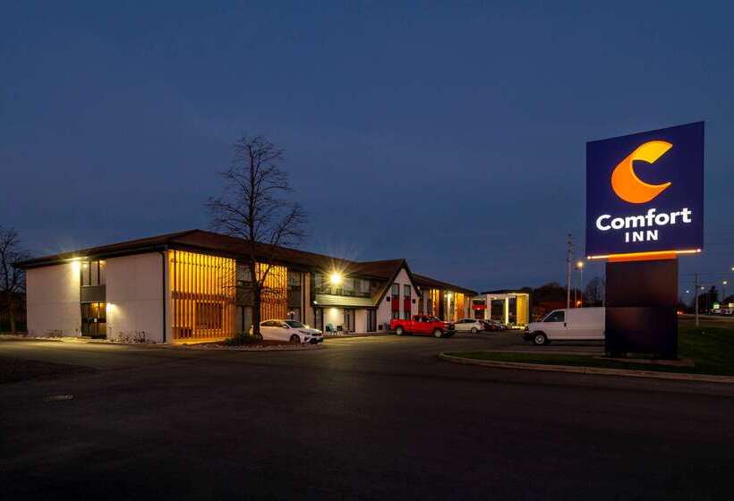 فندق Comfort Inn