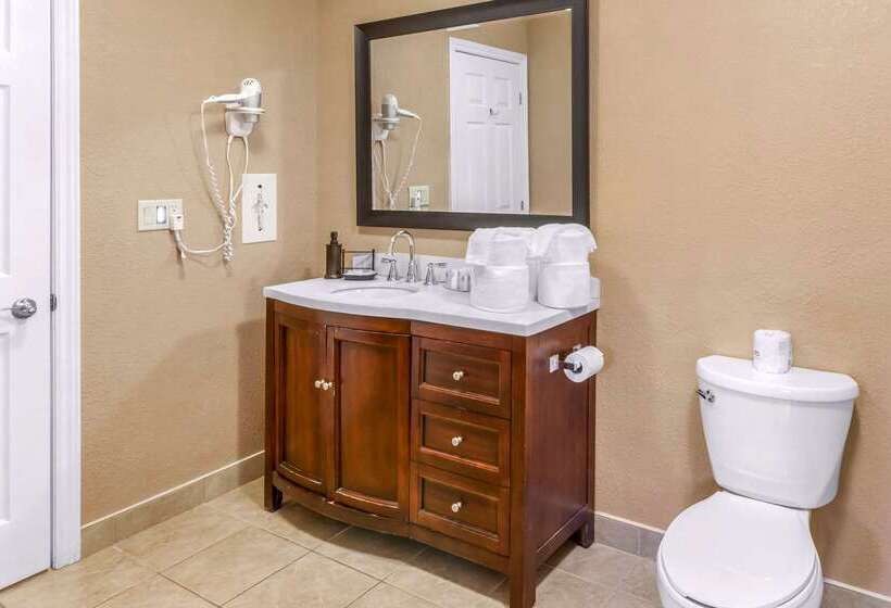 فندق Comfort Inn & Suites Thousand Islands Harbour District