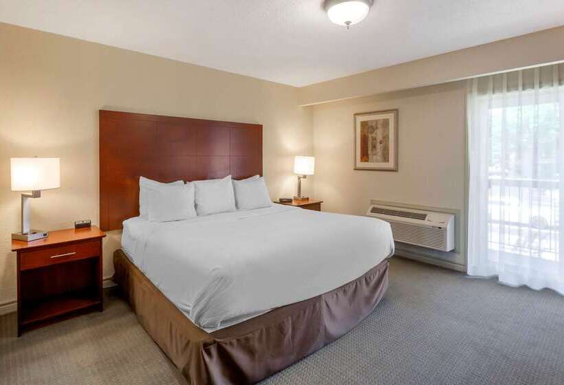 فندق Comfort Inn & Suites Thousand Islands Harbour District