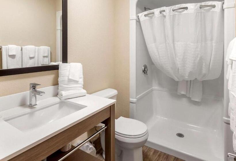 Отель Comfort Inn & Suites Thousand Islands Harbour District