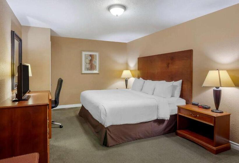 فندق Comfort Inn & Suites Thousand Islands Harbour District