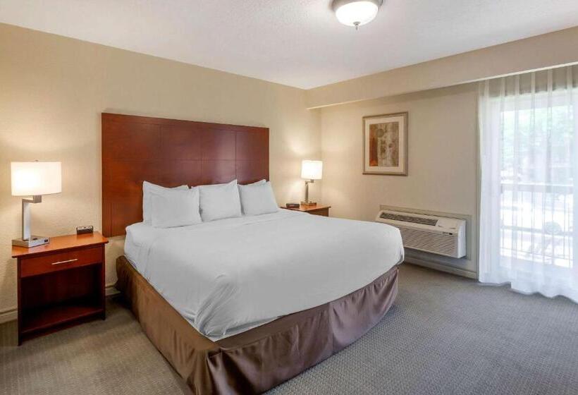 Отель Comfort Inn & Suites Thousand Islands Harbour District
