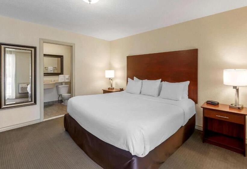 Отель Comfort Inn & Suites Thousand Islands Harbour District