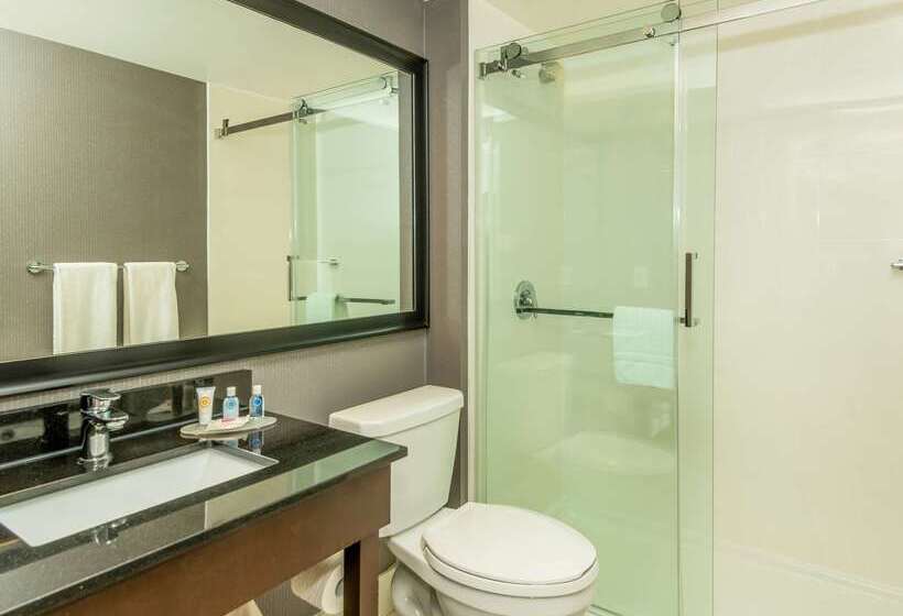 فندق Comfort Inn West