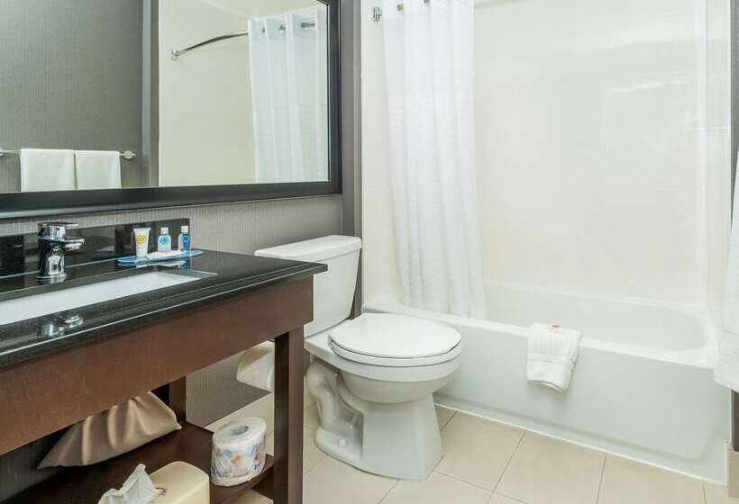 فندق Comfort Inn West