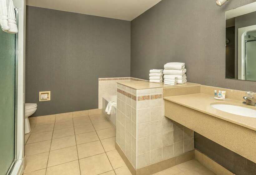 فندق Comfort Inn West