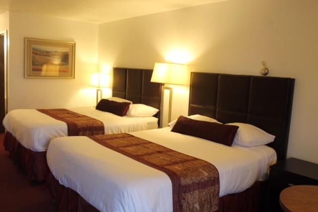 فندق Diamond Head Motor Inn