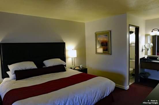 فندق Diamond Head Motor Inn