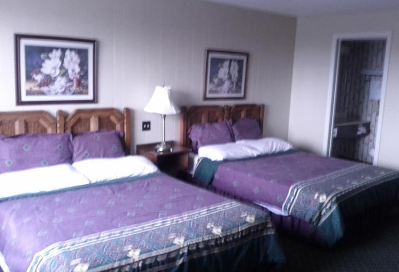 酒店 Diamond Motor Inn