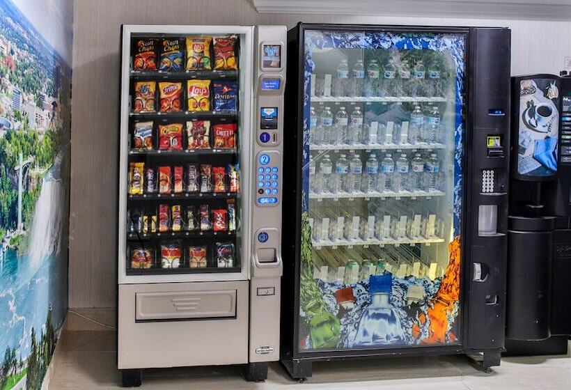 فندق Diplomat Inn