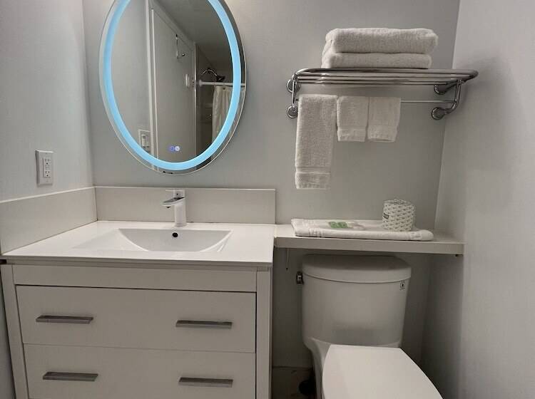 فندق Diplomat Inn