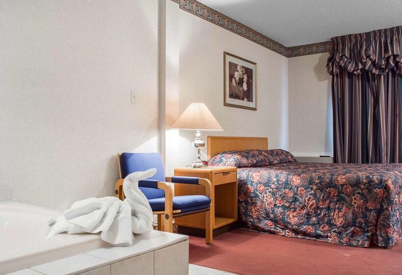 Отель Econo Lodge By The Falls