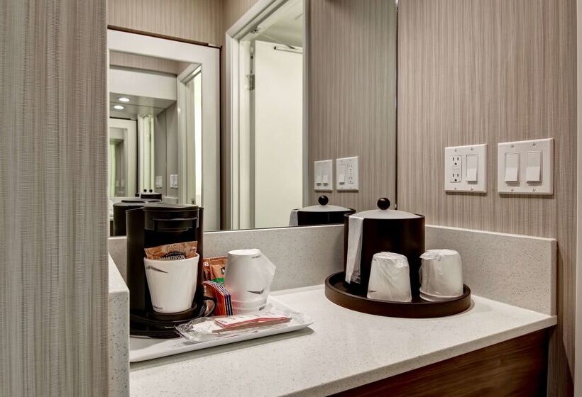 فندق Hampton Inn & Suites By Hilton Calgary Airport