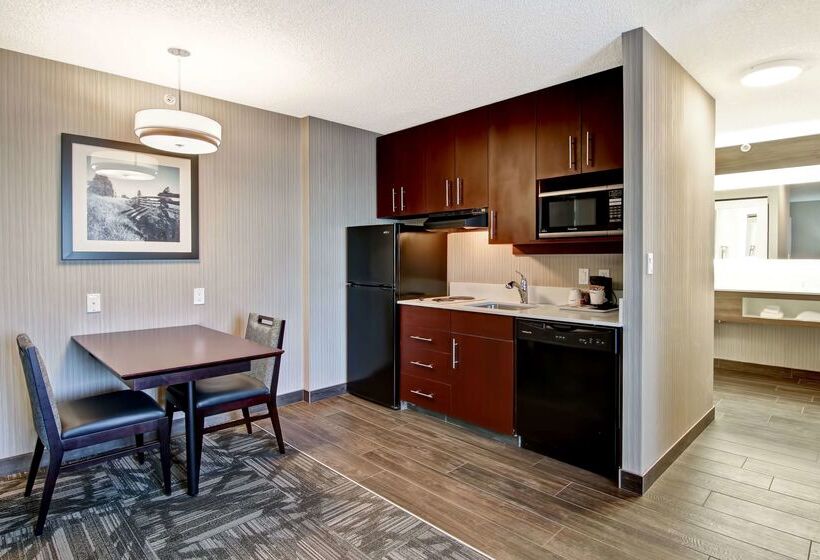 فندق Hampton Inn & Suites By Hilton Calgary Airport