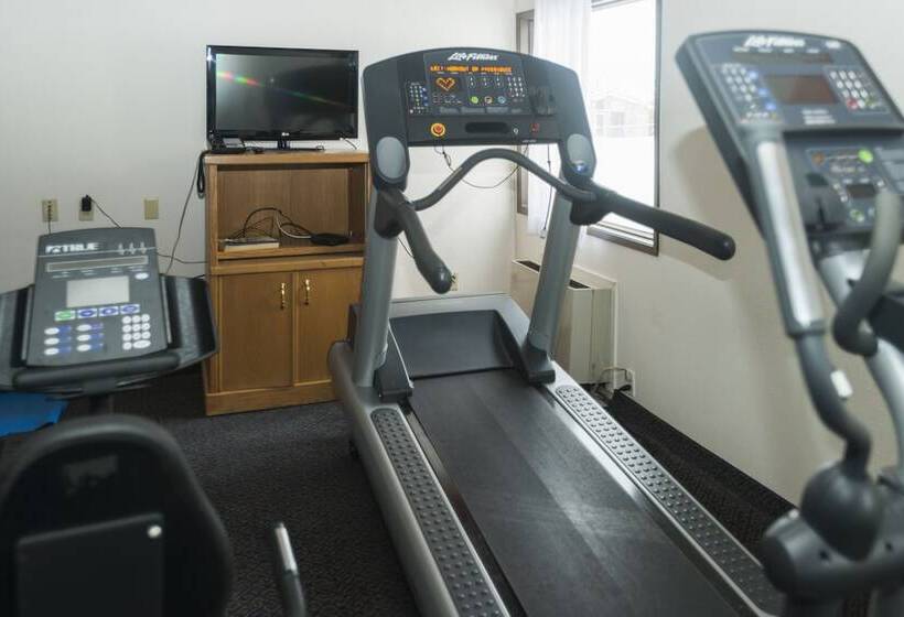 בית מלון כפרי Days Inn By Wyndham Drayton Valley