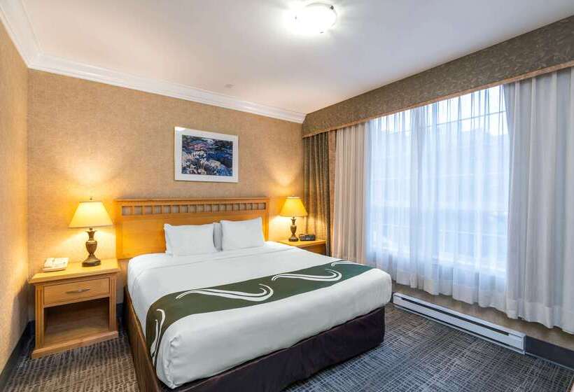 호텔 Quality Inn Downtown Inner Harbour