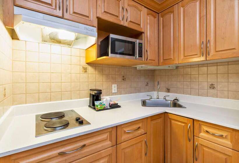 호텔 Quality Inn Downtown Inner Harbour