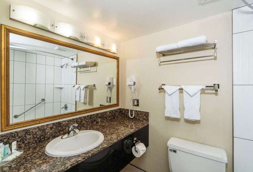 호텔 Quality Inn Downtown Inner Harbour