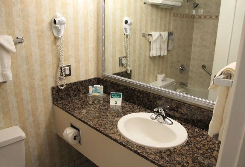 호텔 Quality Inn Downtown Inner Harbour
