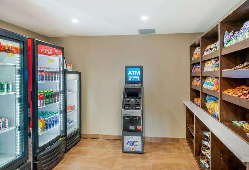 호텔 Quality Inn & Suites