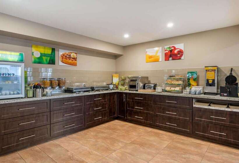 فندق Quality Inn & Suites