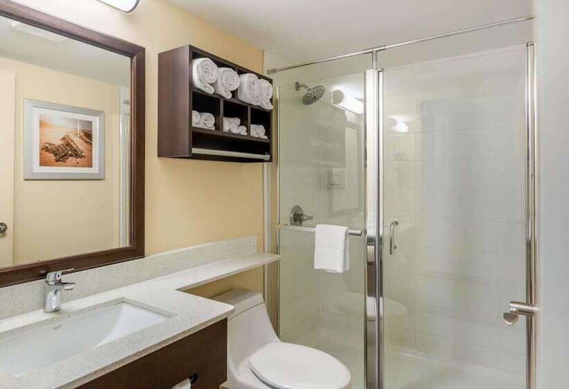 فندق Quality Inn & Suites