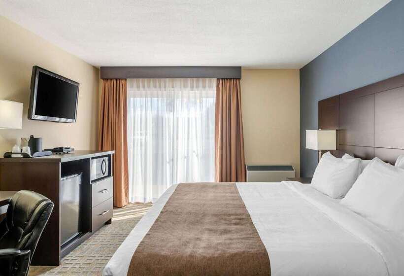 호텔 Quality Inn & Suites