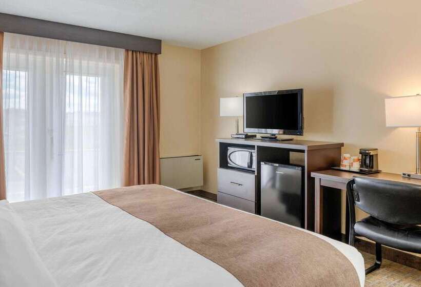 فندق Quality Inn & Suites