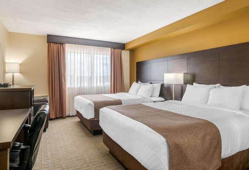 호텔 Quality Inn & Suites