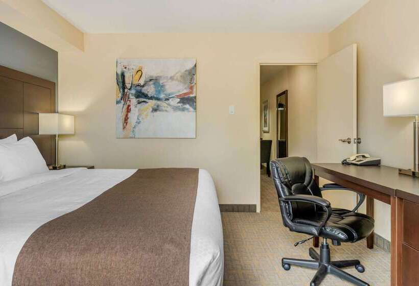 호텔 Quality Inn & Suites