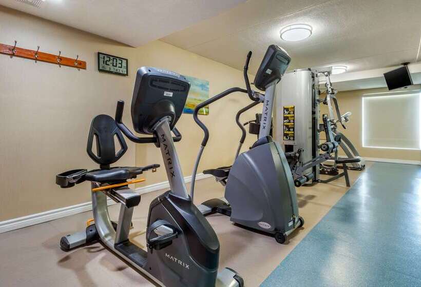 호텔 Quality Inn & Suites