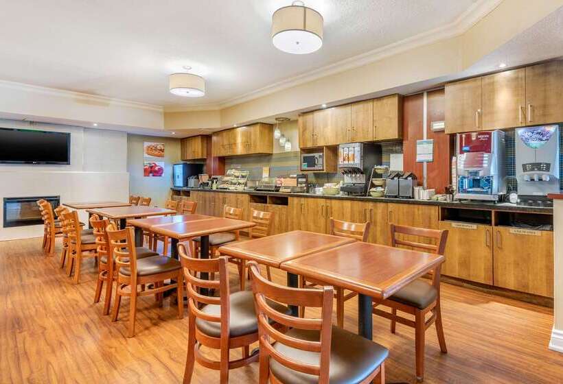 호텔 Quality Inn & Suites