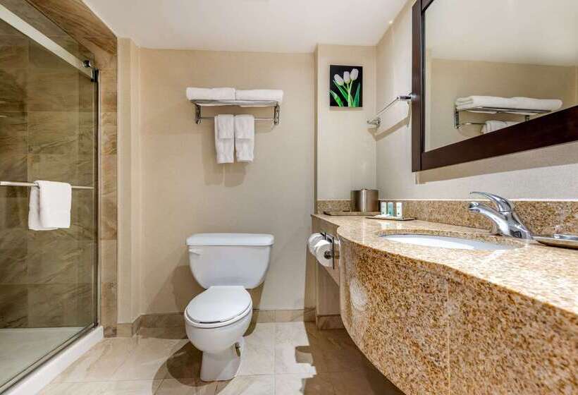 호텔 Quality Inn & Suites