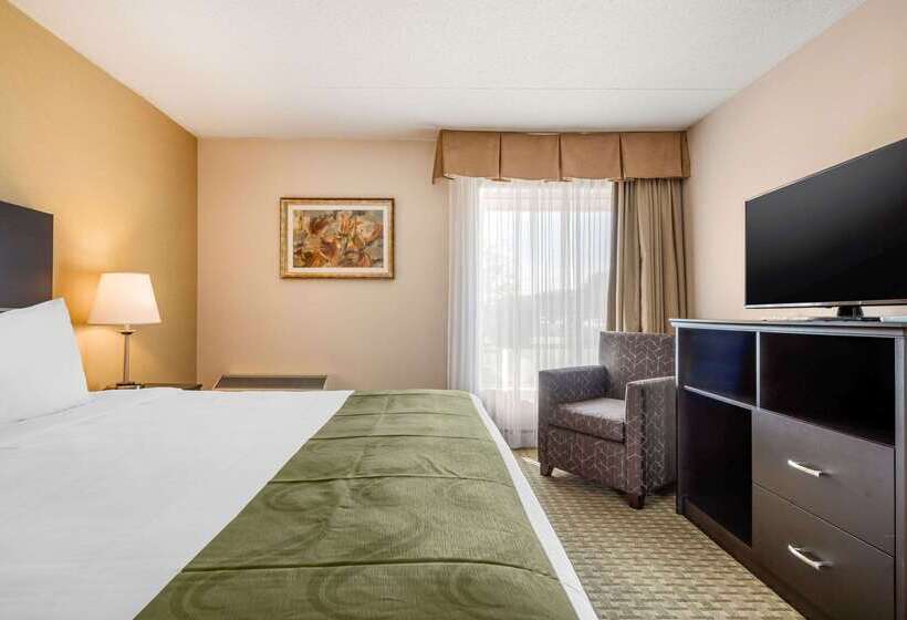 호텔 Quality Inn & Suites