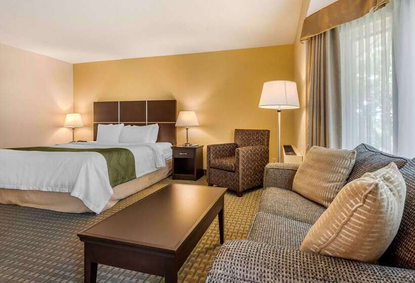 호텔 Quality Inn & Suites