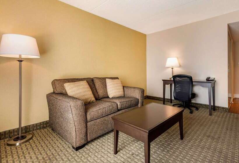 호텔 Quality Inn & Suites