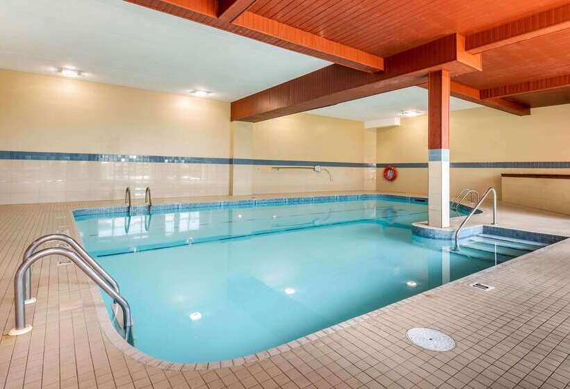 호텔 Quality Inn & Suites