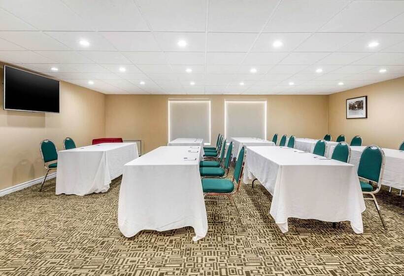 호텔 Quality Inn & Suites