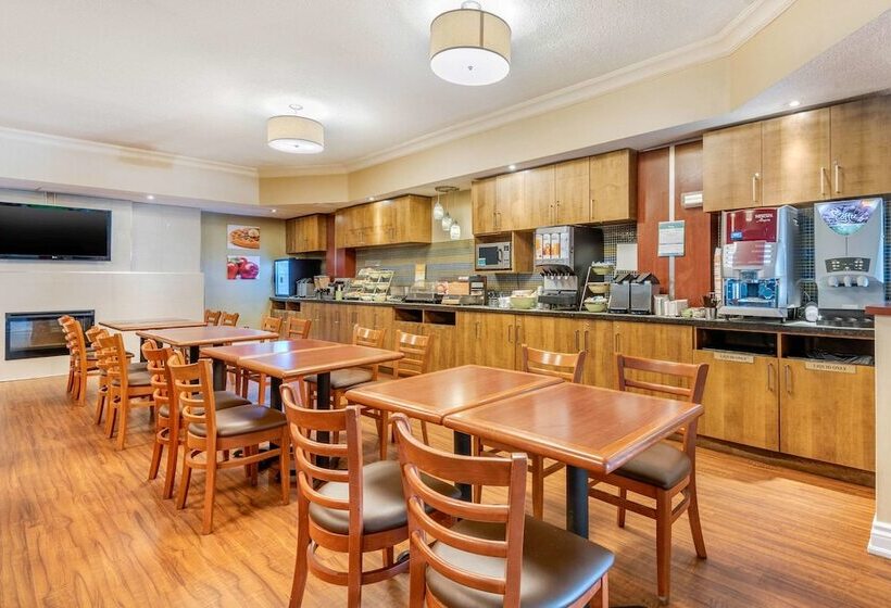 호텔 Quality Inn & Suites