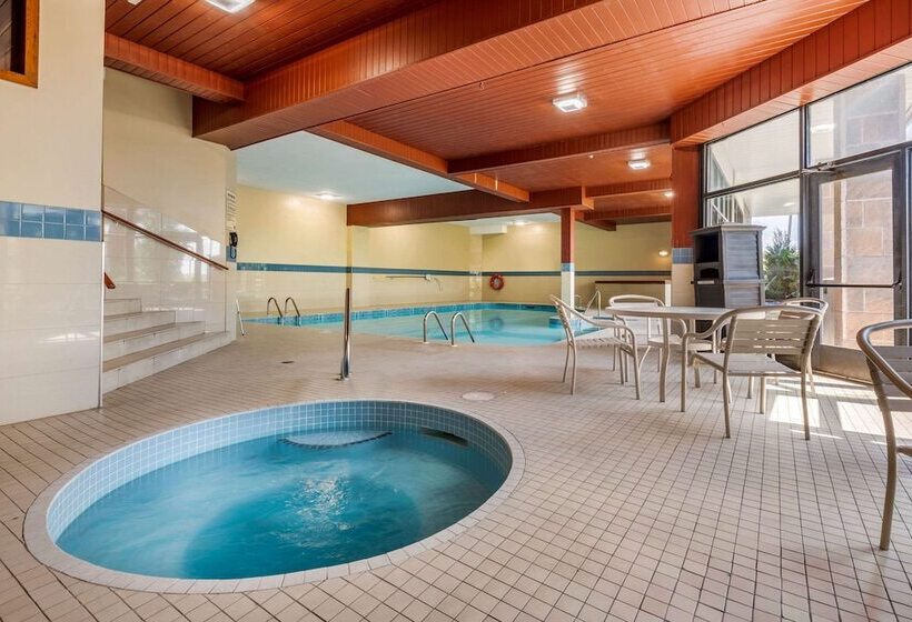 호텔 Quality Inn & Suites