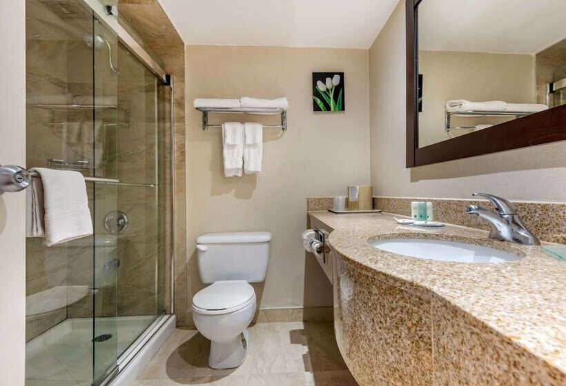 호텔 Quality Inn & Suites