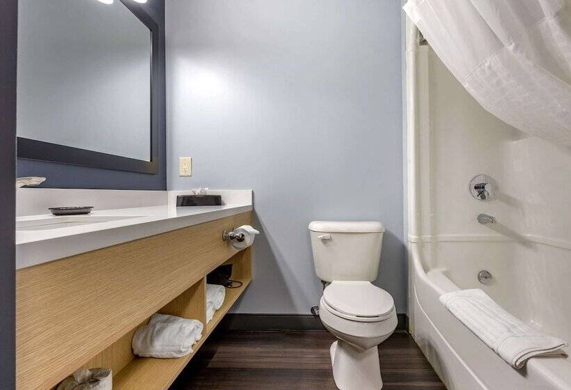 فندق Quality Inn & Suites