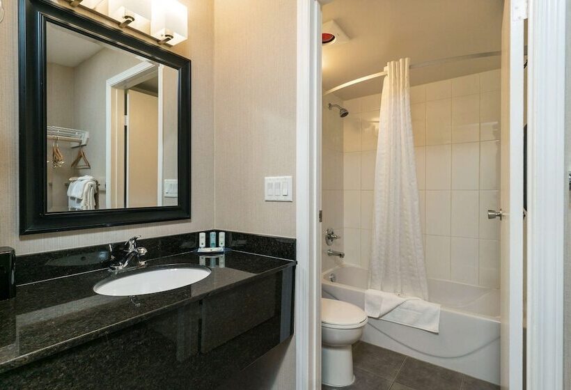 酒店 Quality Inn & Suites