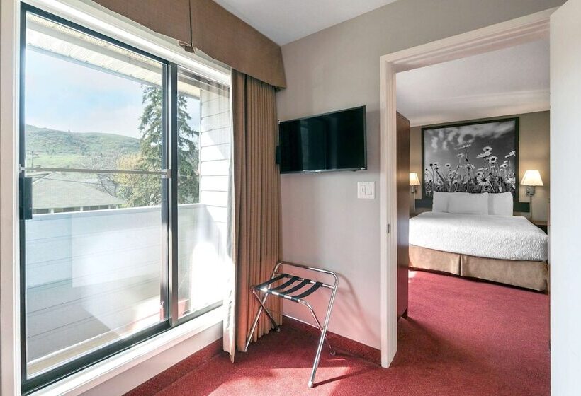 酒店 Quality Inn & Suites