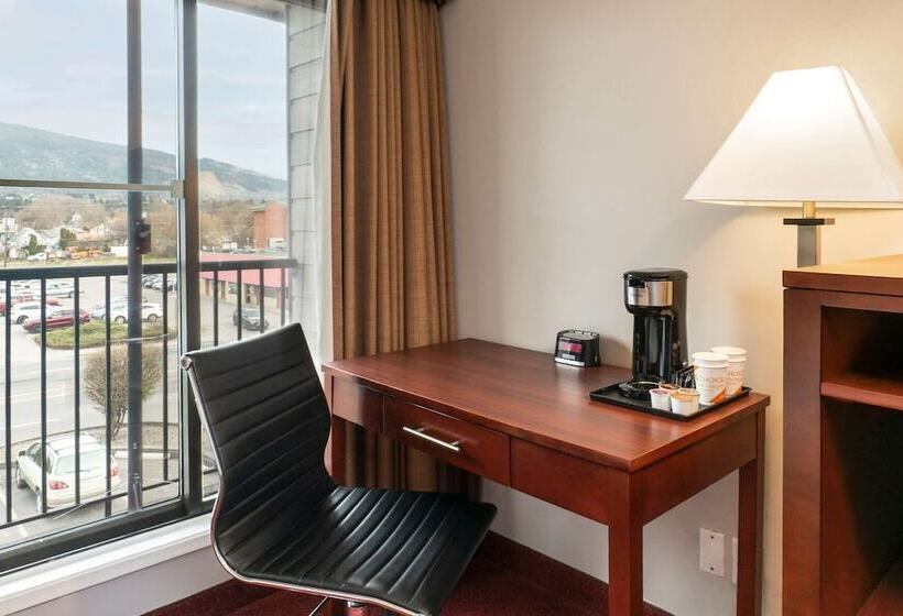 酒店 Quality Inn & Suites