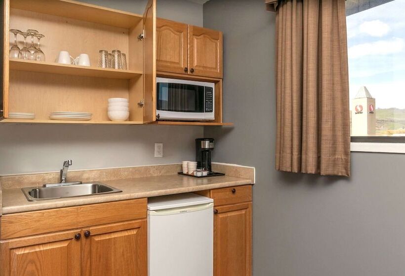 酒店 Quality Inn & Suites