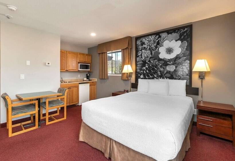 酒店 Quality Inn & Suites