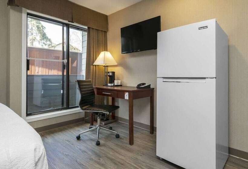 酒店 Quality Inn & Suites